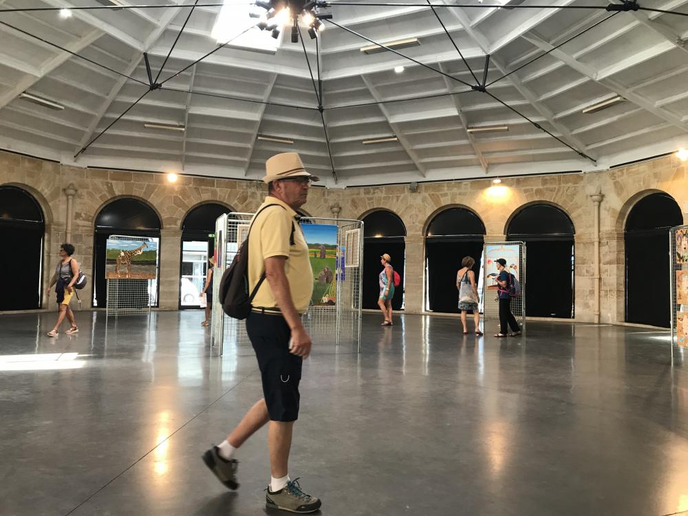 Exposition "Règne animal"- Halles des Chartrons- Bordeaux